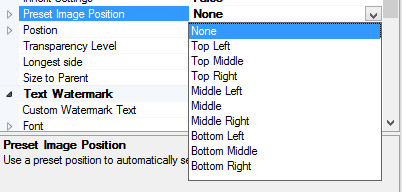 Watermark Image Preset Positions