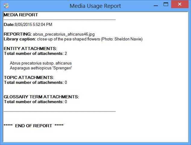 Example Media Usage Report