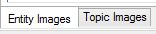 Entity and Topics Media tabs