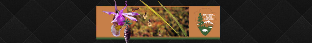 DenaliFlora Interactive Key banner